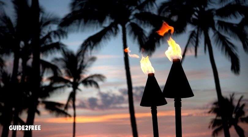 FREE TIKI Brand Products 1 FREE TIKI Brand Products