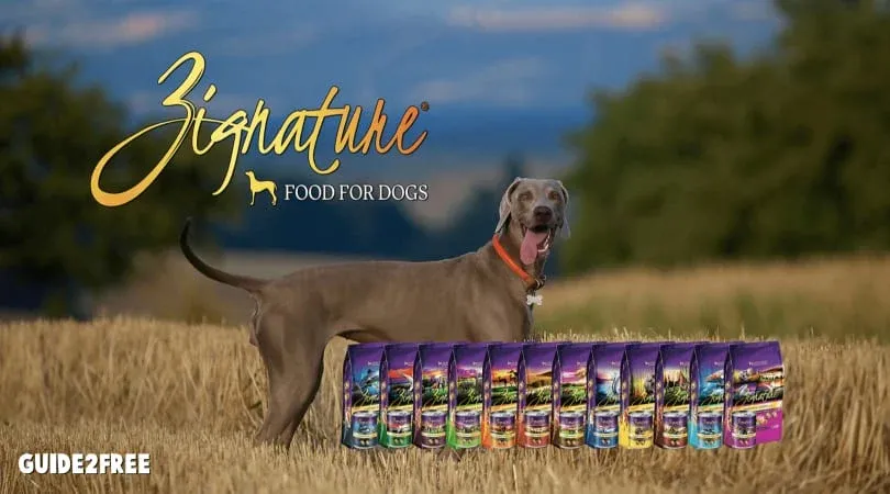 FREE Zignature Dog Food Sample 1 Zignature Dog Food