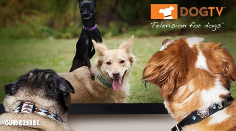 FREE 30 Day Trial of DOGTV 1 FREE 30 Day Trial of DOGTV
