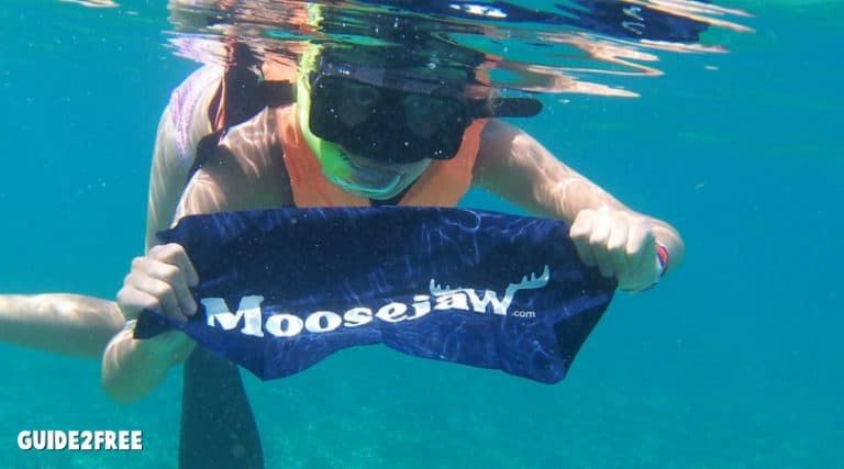 FREE Moosejaw Flag 1 FREE Moosejaw Flag