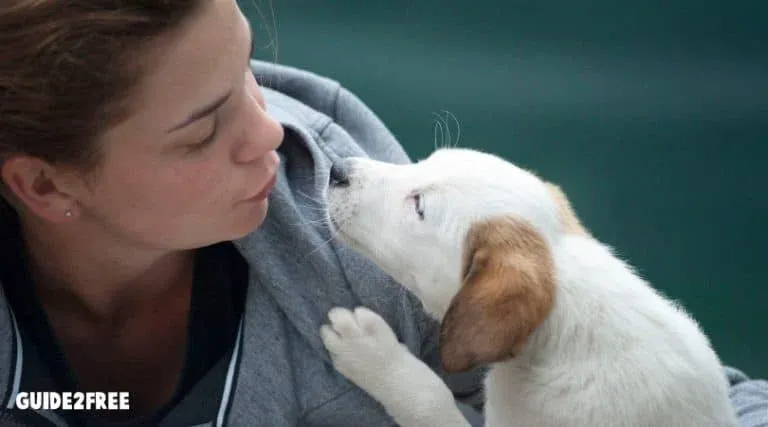 FREE Web chats with licensed veterinarian 24/7 1 FREE Web chats with licensed veterinarian 24/7