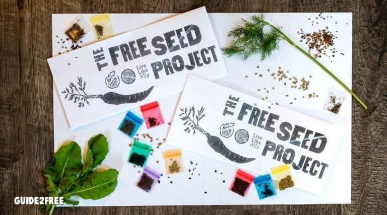Grow your Own Food with FREE Seeds 1 Grow your Own Food with FREE Seeds