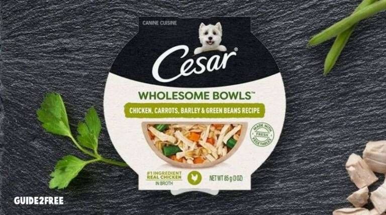 FREE Cesar Wholesome Bowls Sample