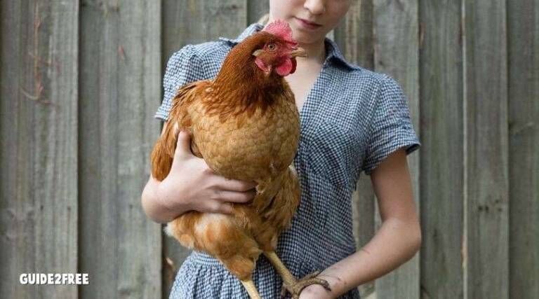 FREE Chicken Swag Bag