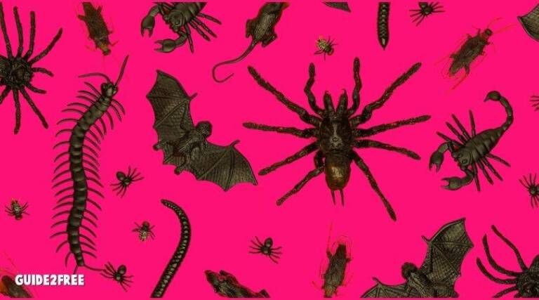 Free Bug Temporary Tattoos 1 Free Bug Temporary Tattoos