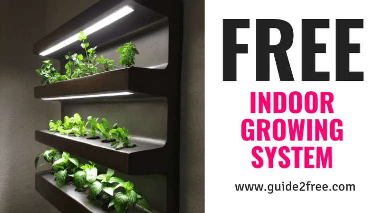 FREE Indoor Growing System 1 FREE Indoor Growing System