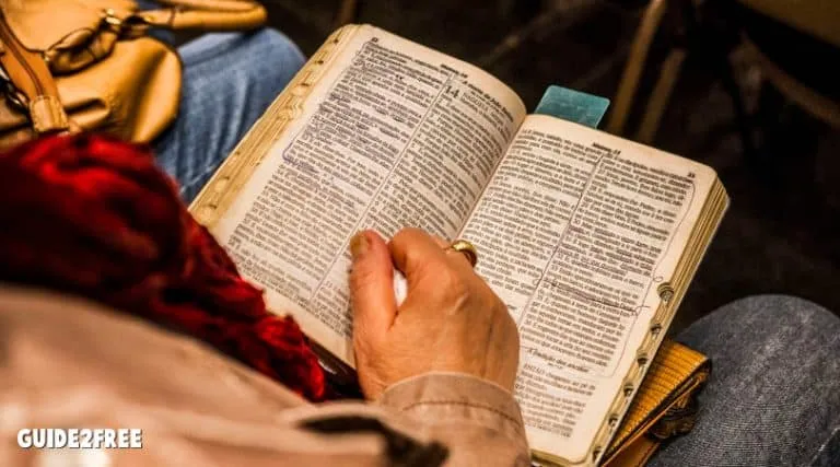FREE New Testament Recovery Bible