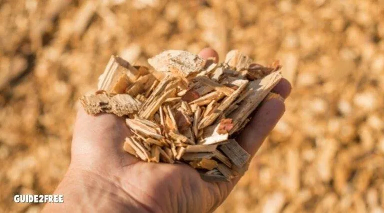 CHIPDROP: FREE WOOD CHIPS + FREE DELIVERY 1 CHIPDROP: FREE WOOD CHIPS + FREE DELIVERY