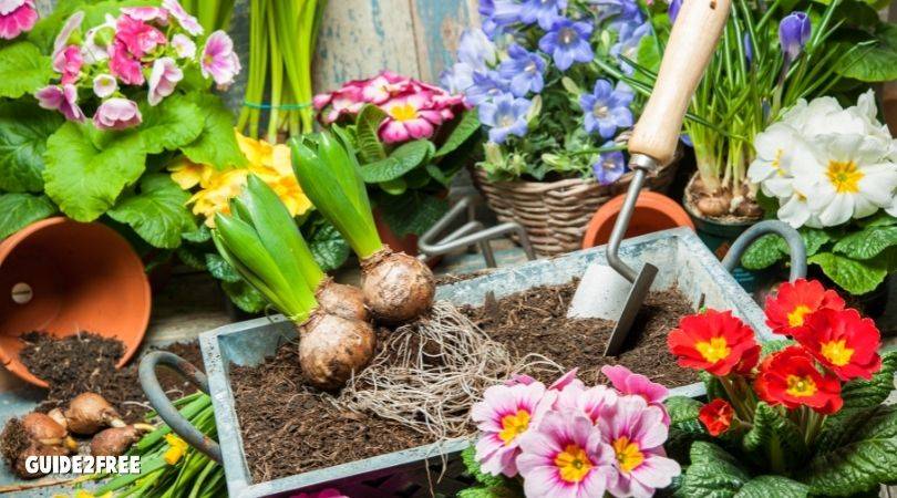 FREE Gardener's Idea Book 1 FREE Gardener's Idea Book