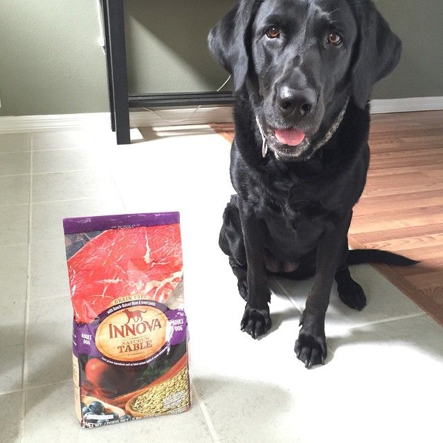 Product Testing a Product Tester to get FREE Products to Test