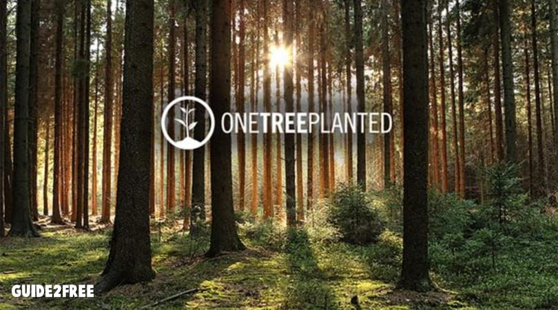 free tree planted