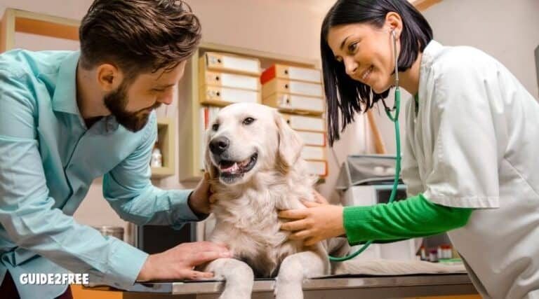 FREE Pet Exam at VCA Animal Hospitals