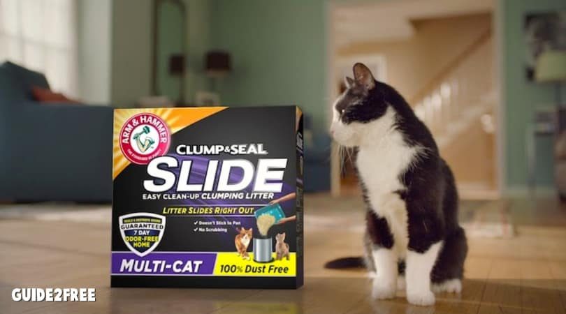 Arm & Hammer Kitty Krew: FREE Cat Products