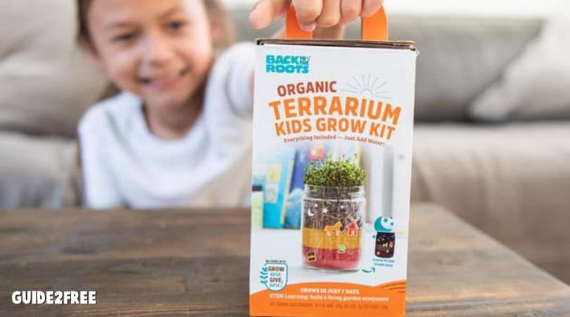 FREE Terrarium Kids Grow Kit